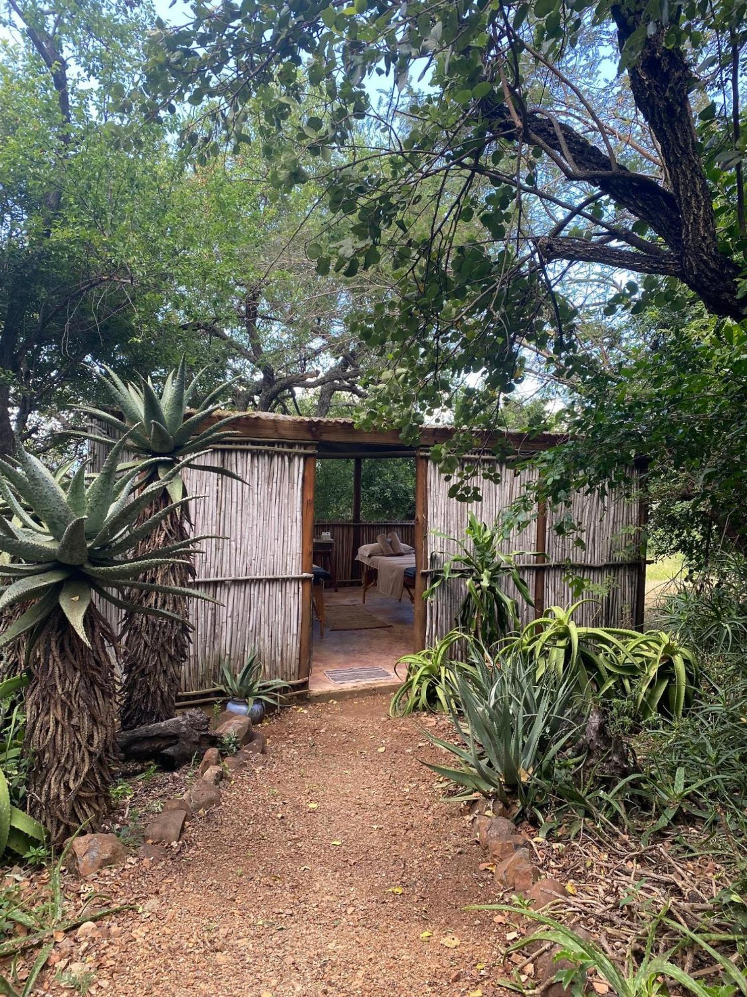 פונגולה Shayamoya Tiger Fishing And Game Lodge מראה חיצוני תמונה